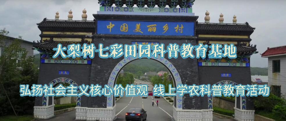 大梨樹七彩田園科普教育基地︱弘揚(yáng)社會主義核心價(jià)值觀開展線上學(xué)農(nóng)科普教育活動